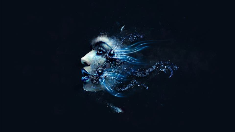 fresh desktop 2560x1440 wallpaper