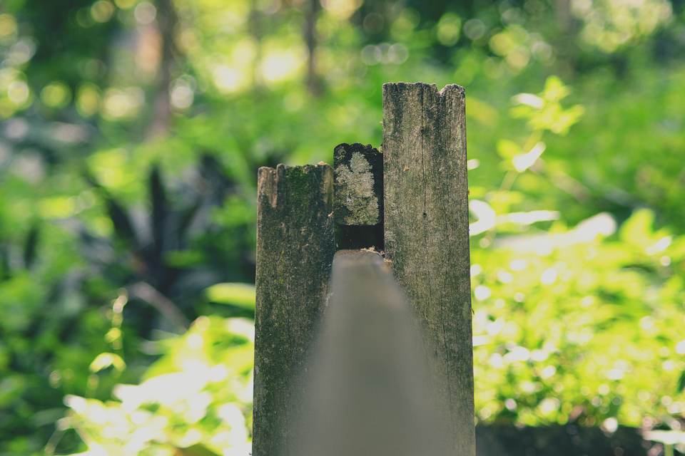 fresh desktop 4000x2667 wallpaper