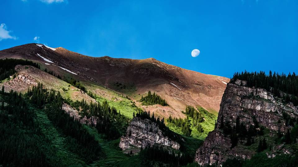 fresh desktop 2560x1440 wallpaper
