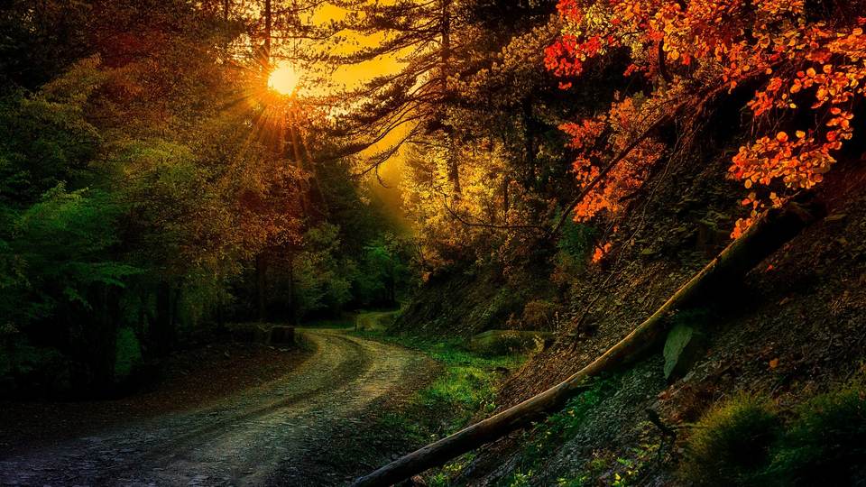 fresh desktop 2048x1152 wallpaper