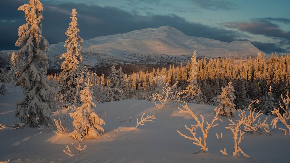 fresh desktop 3840x2160 wallpaper
