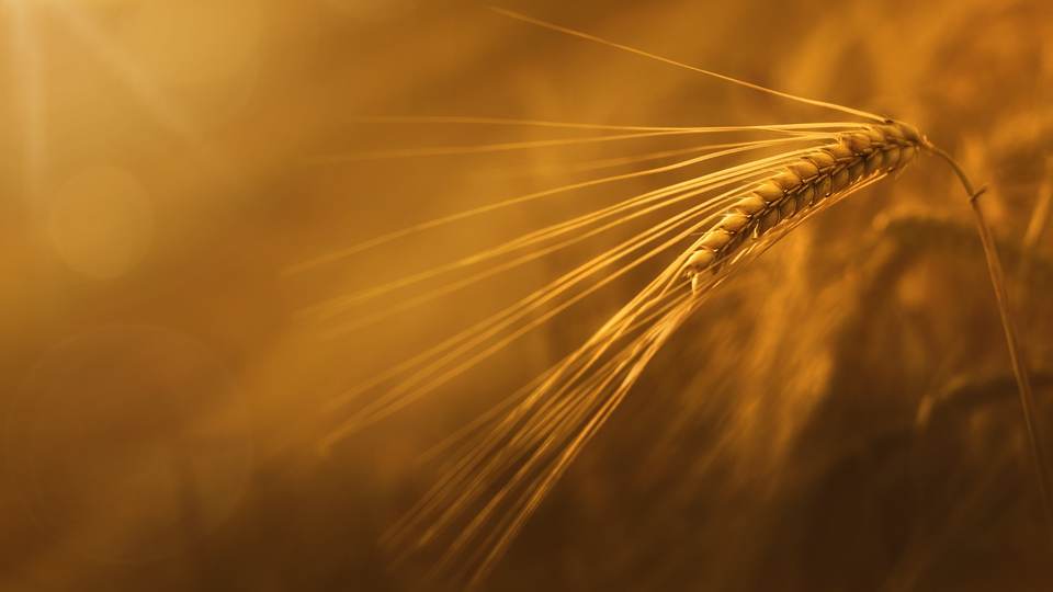 fresh desktop 2048x1152 wallpaper