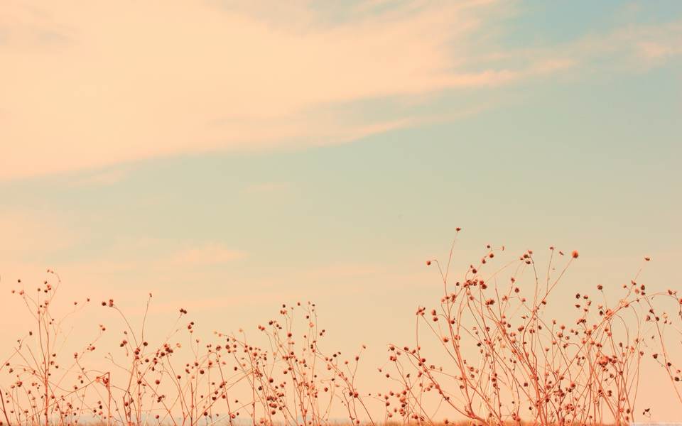fresh desktop 2560x1600 wallpaper