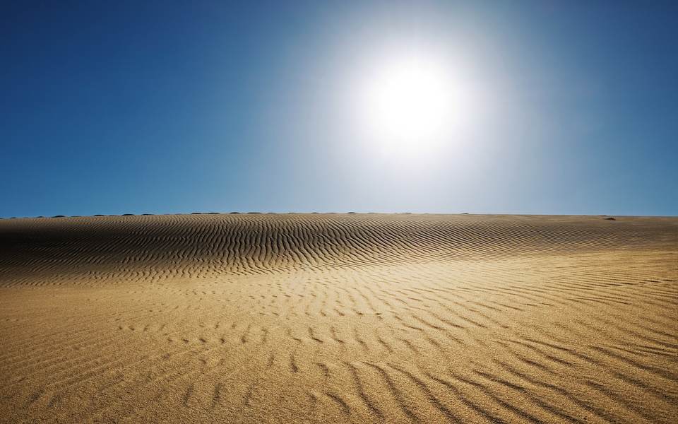 fresh desktop 2560x1600 wallpaper