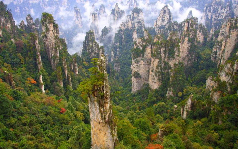 fresh desktop 1920x1200 wallpaper