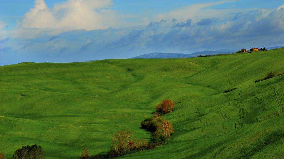 fresh desktop 1920x1080 wallpaper