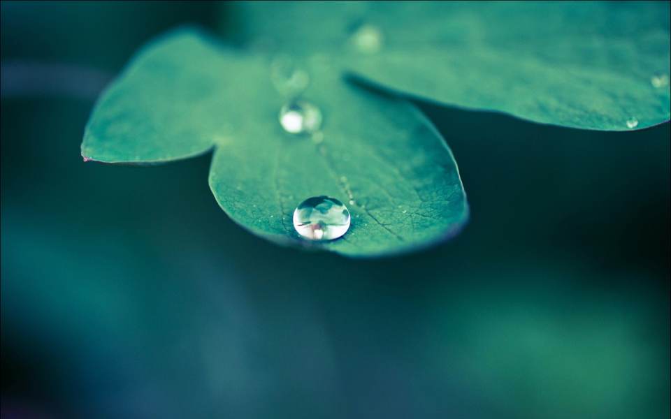 fresh desktop 2560x1600 wallpaper