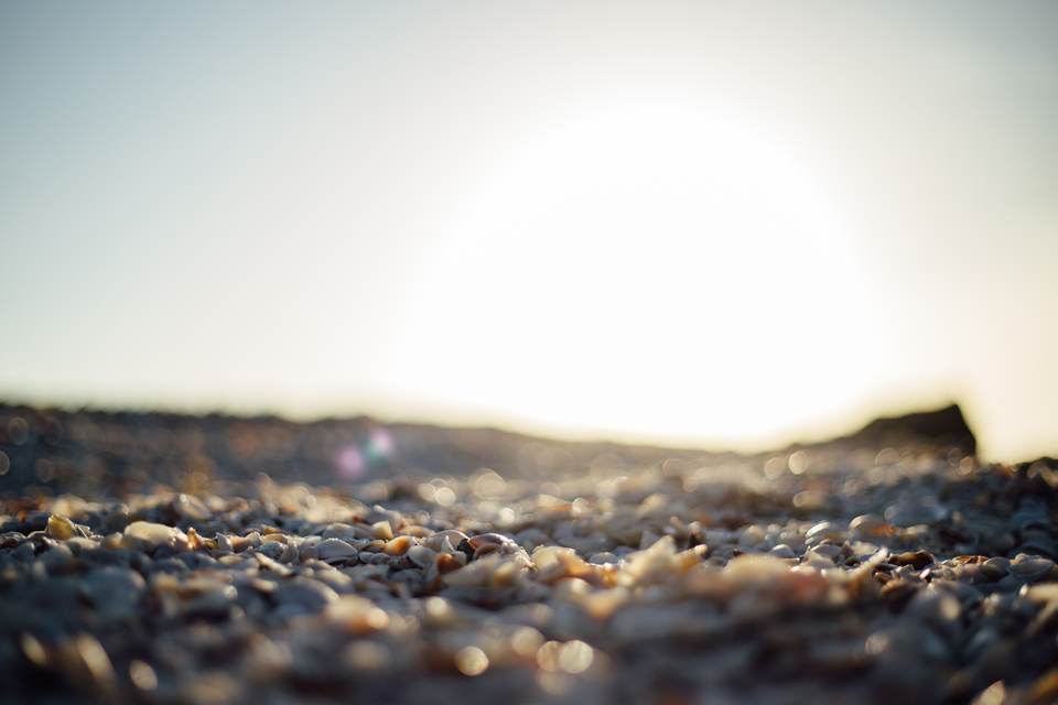 fresh desktop 5049x3366 wallpaper