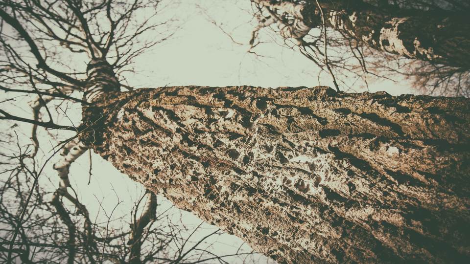 fresh desktop 2560x1440 wallpaper