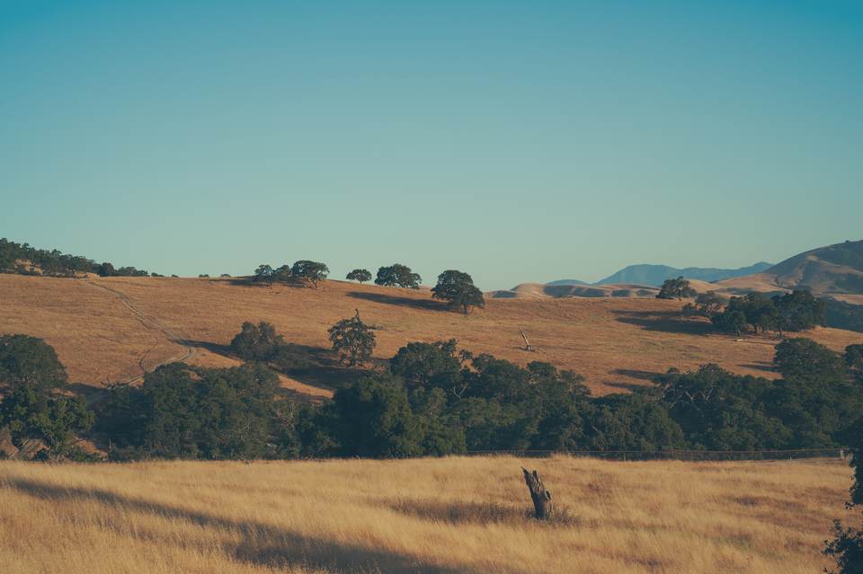 fresh desktop 5953x3961 wallpaper