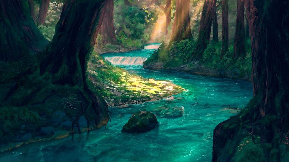 nature desktop 2560x1440 wallpaper