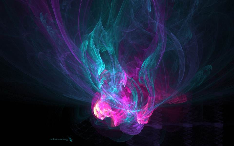 fresh desktop 1920x1200 wallpaper