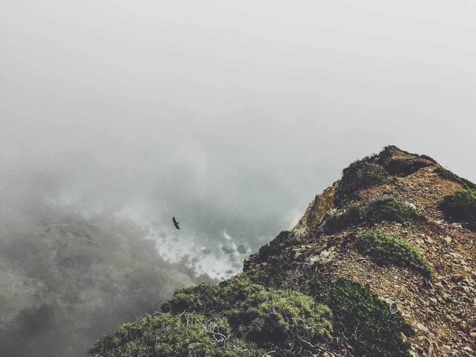 fresh desktop 3264x2448 wallpaper