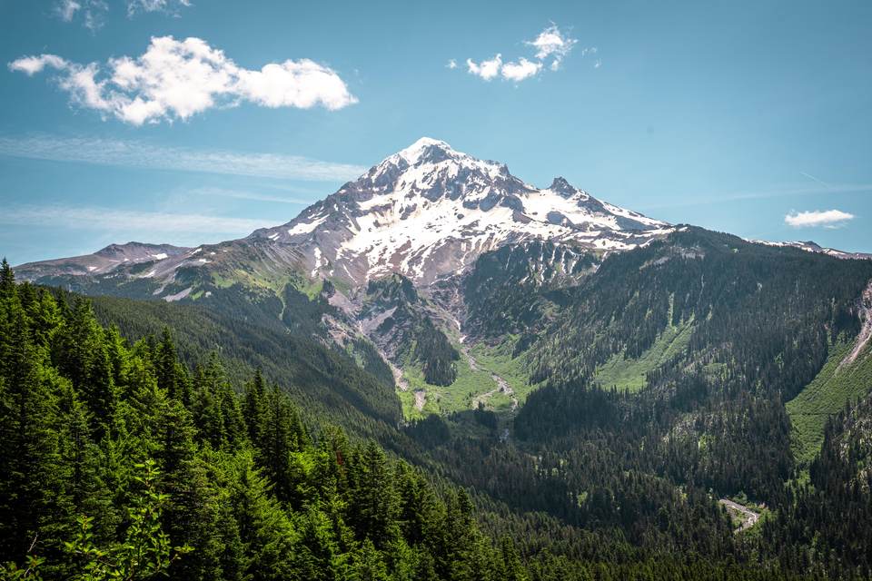 forest desktop 7008x4672 wallpaper