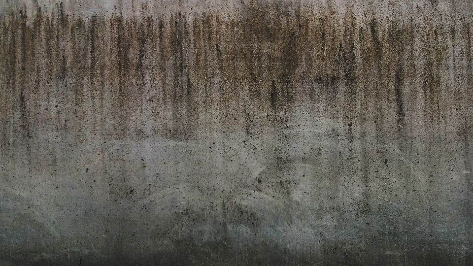 fresh desktop 1920x1080 wallpaper