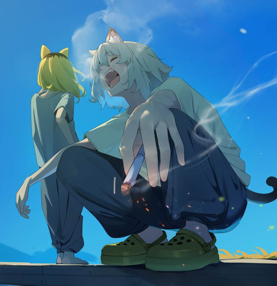 cat phone 1776x1833 wallpaper