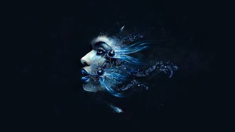 fresh desktop 2560x1440 wallpaper