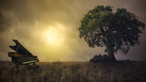 fresh desktop 1920x1080 wallpaper