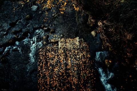 fresh desktop 3000x2000 wallpaper