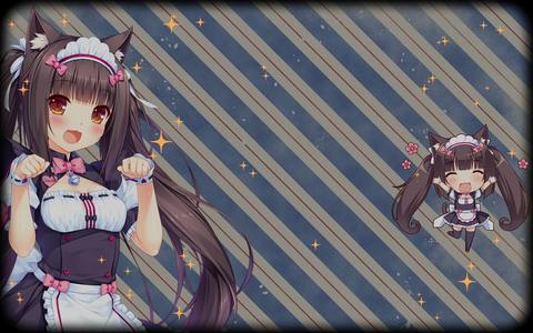 fresh desktop 1920x1202 wallpaper
