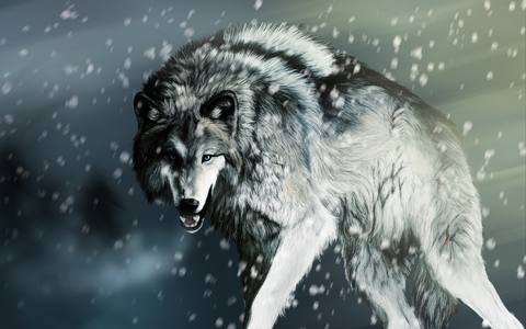 fresh desktop 2560x1600 wallpaper
