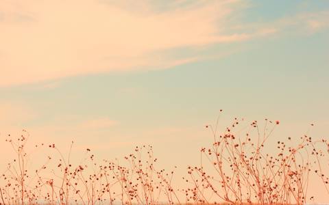 fresh desktop 2560x1600 wallpaper