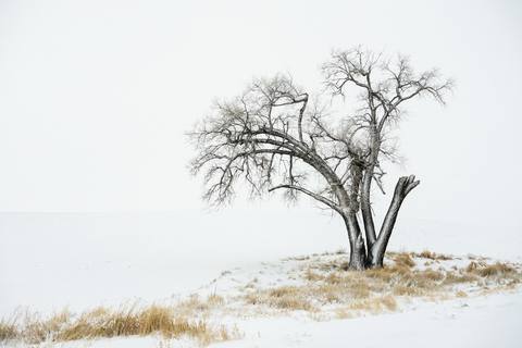 fresh desktop 1920x1282 wallpaper