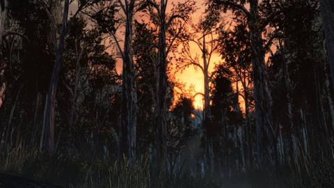 sunset desktop 1920x1080 wallpaper