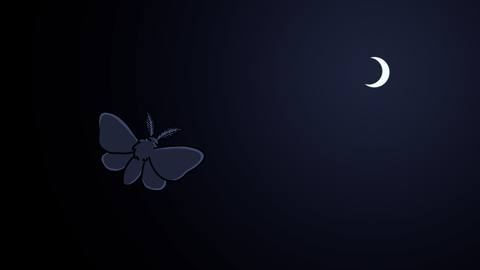 minimal desktop 3840x2160 wallpaper
