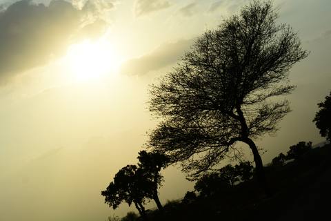 fresh desktop 6000x4000 wallpaper