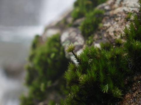 fresh desktop 4592x3448 wallpaper