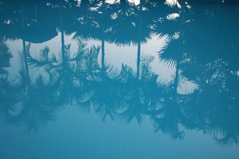 fresh desktop 3456x2304 wallpaper