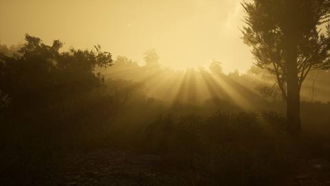 fresh desktop 2560x1440 wallpaper