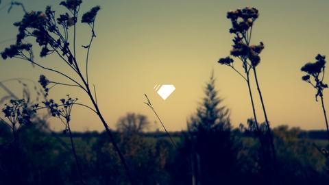 fresh desktop 1920x1080 wallpaper
