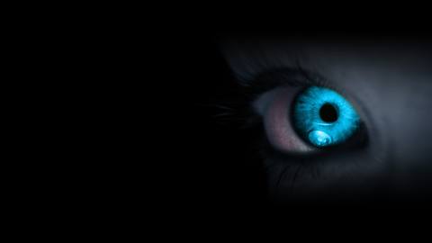 fresh desktop 1920x1080 wallpaper