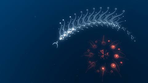 fresh desktop 1920x1080 wallpaper