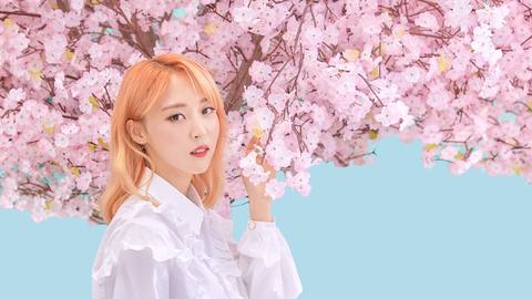 fresh desktop 1920x1080 wallpaper