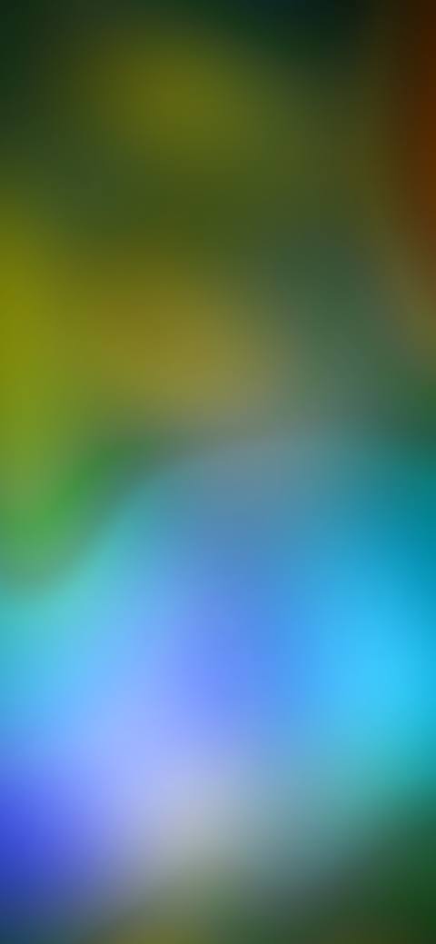 fresh phone 2250x4872 wallpaper