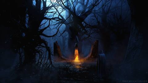forest desktop 2500x1407 wallpaper